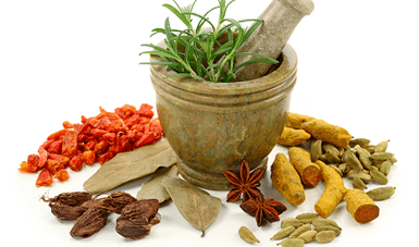 Methods of treatment of parasite in the body