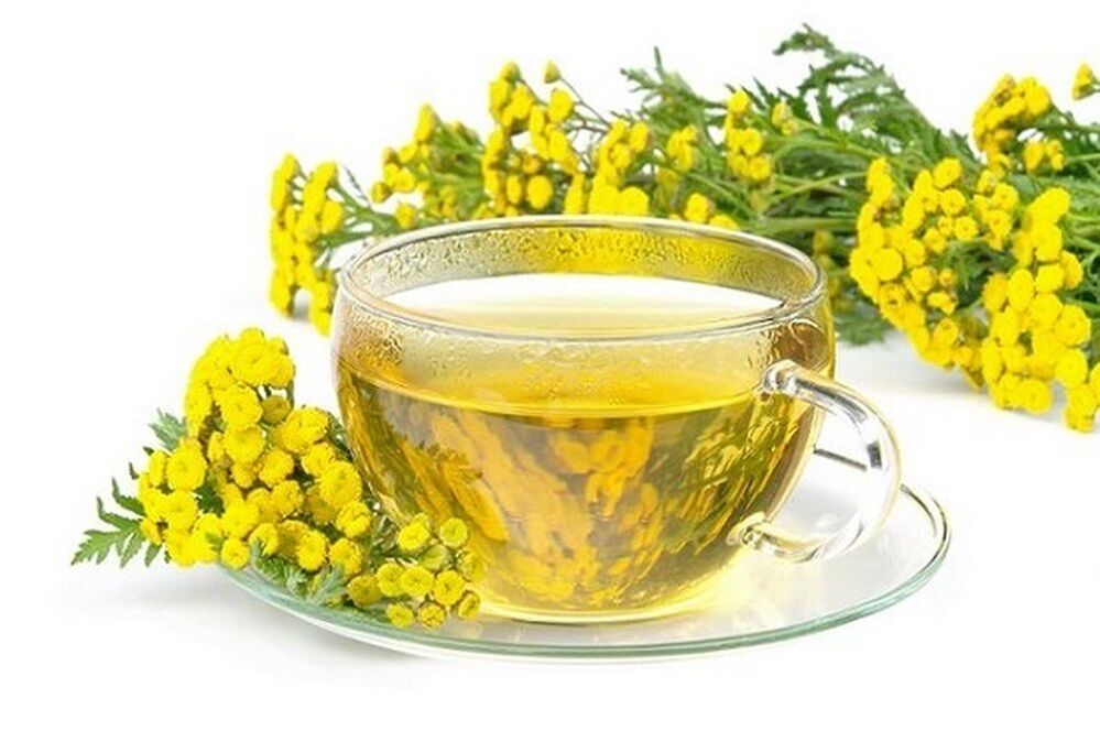 decoction of tansy for parasites